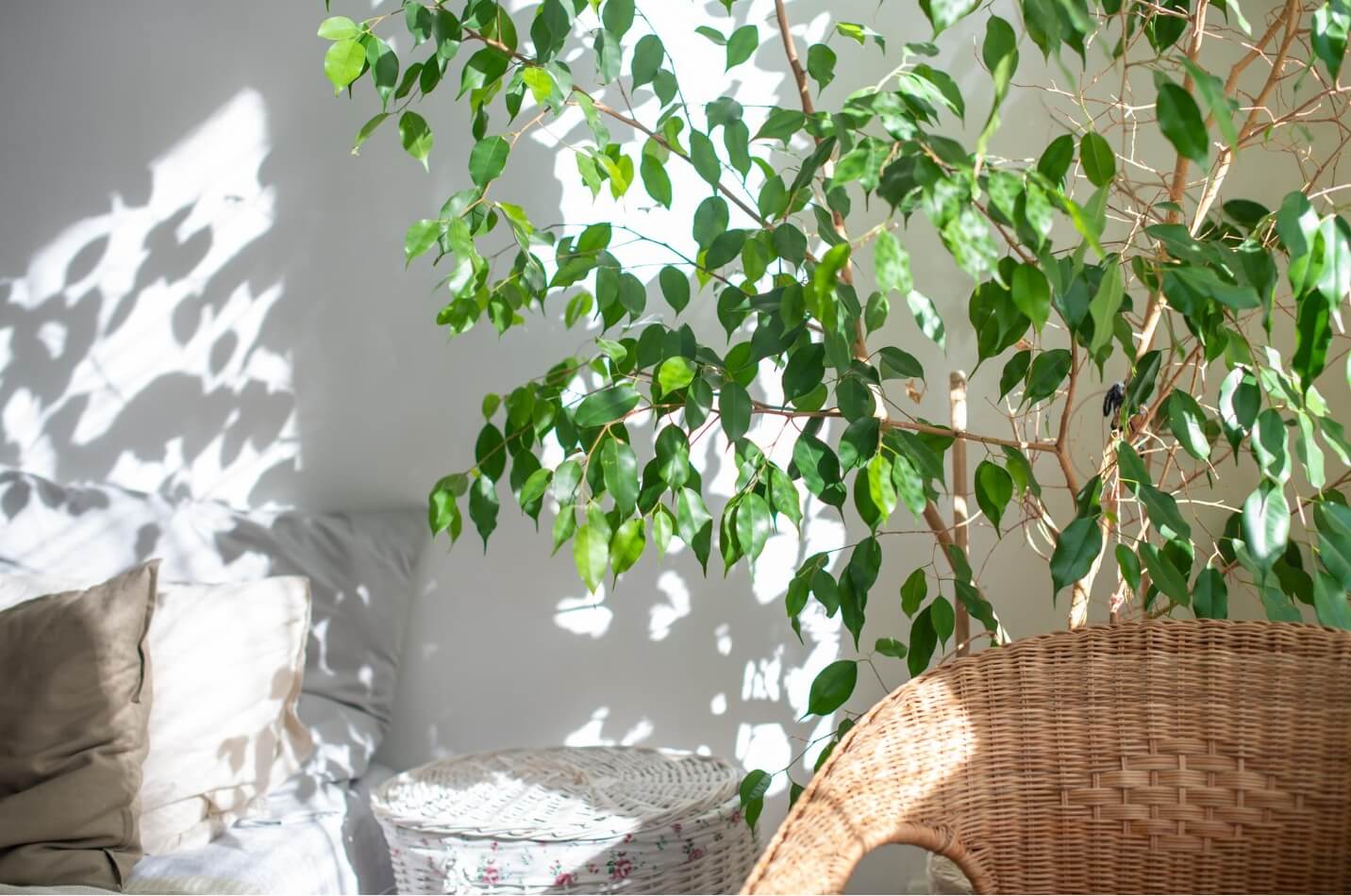 STORY：風の通り道が心地よい