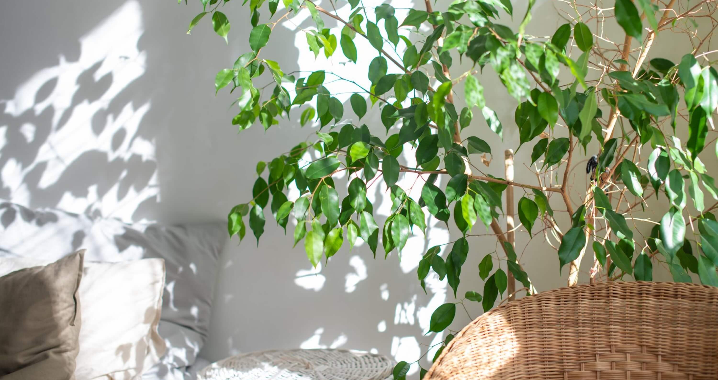 時間が経つほど、心に馴染む家を。